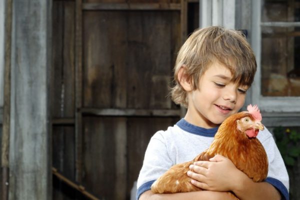 smiling-boy-with-chicken-695x1024